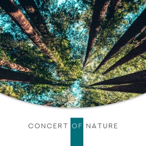 Concert of Nature: Music Soothing the Body, Mind and Soul