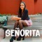 Señorita - Laura Naranjo lyrics