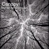 Canopy