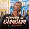 Terremoto de Bumbum by Banda A Invasão iTunes Track 1