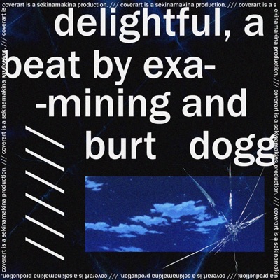 Delightful (feat. Burt Dogg) - Single