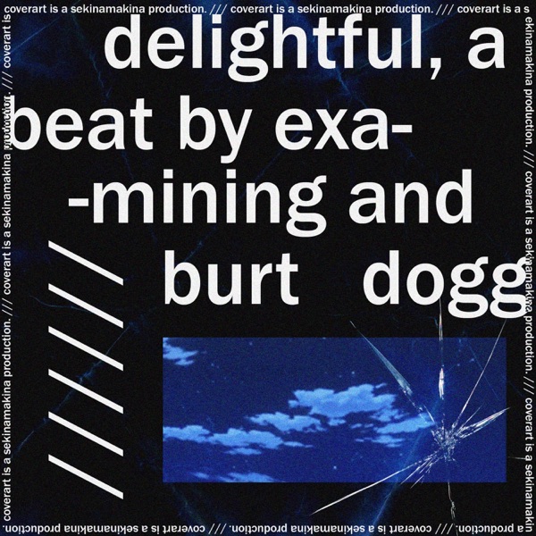 Delightful (feat. Burt Dogg)