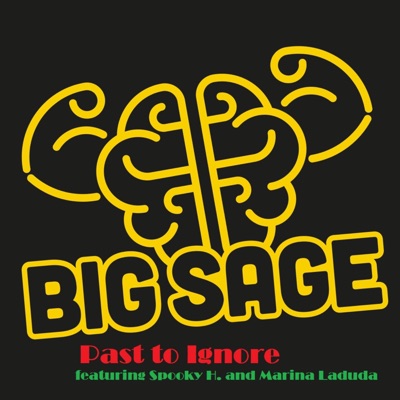 Past to Ignore (feat. Spooky H. & Marina Laduda) - Single