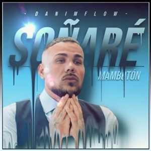 Soñaré