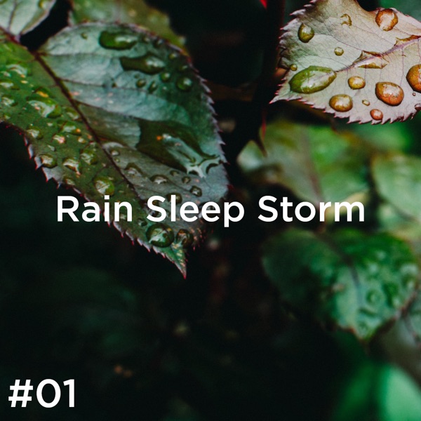 #01 Rain Sleep Storm