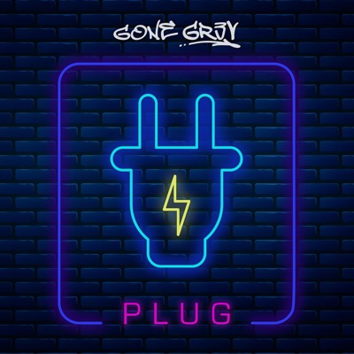 Plug - Single