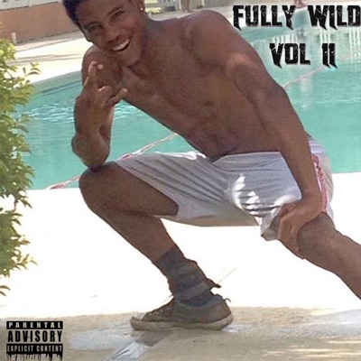 Fully Wild Vol II - EP