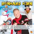 Der Kleine Braune Bär