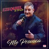 Me Provoca - Single