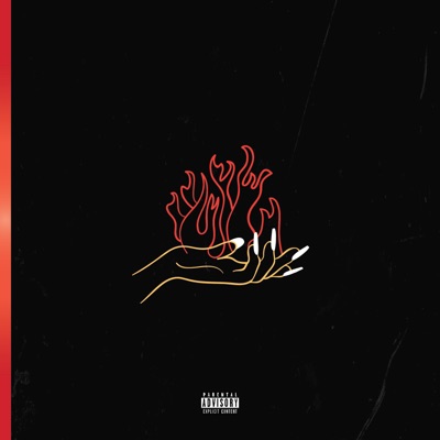 Playing With Fire - Single