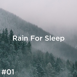 #01 Rain for Sleep