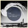 Herby - Channel Surfer