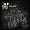 Stream & download Un Año (En Vivo) - Single