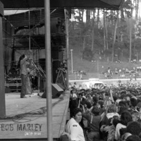 Bob Marley - Single - Jacobi Ryan