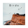 Birds - Single
