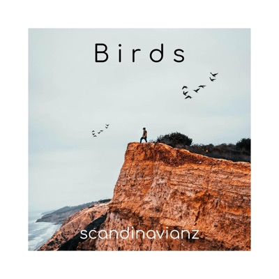 Birds - Single