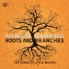 Marion Billy Remembering Little Walter by Marion Diaz (Little Walter's Daughter) Roots and Branches: The Songs of Little Walter