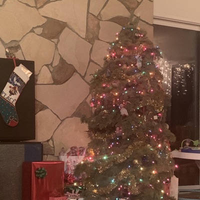 Rudolph's Laptop (feat. Winston Marshall) - Single