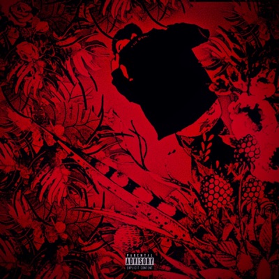 Another Story (feat. Chris Dom$) - Single