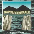 Ngazzate nire