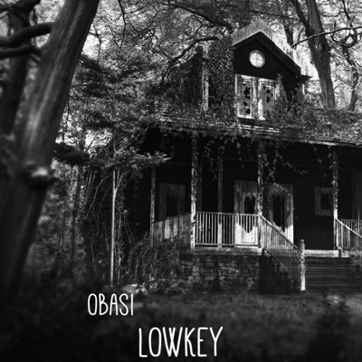 Lowkey - Single
