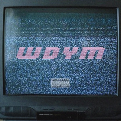 Wdym (feat. Xafterpartyx) - Single