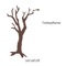 Last Leaf Left - FireAwayMarmot lyrics