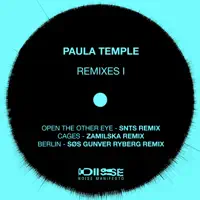 Open the Other Eye (SNTS Remix) — Paula Temple