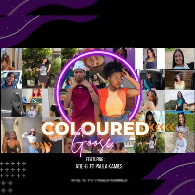 Coloured Goose (feat. Paula Kammies) - Single