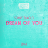 Dream of You (Extended Mix) - Sonny Zamolo new Single