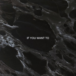 If You Want To (Dimension Remix) - Single
