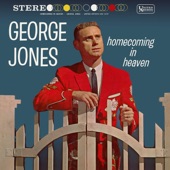 Homecoming In Heaven artwork