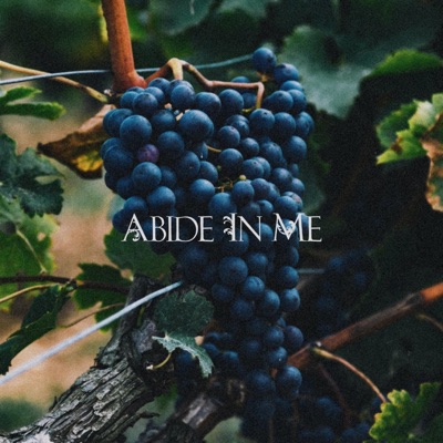 Abide in Me - Single