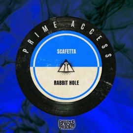 Rabbit Hole Scafetta