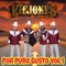 Amores Fingidos - Los Viejones De Linares lyrics