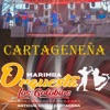 Cartageneña - Single