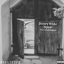 Doors Wide Open VEALINIUM