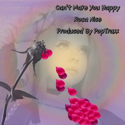 Can't Make You Happy - Single
