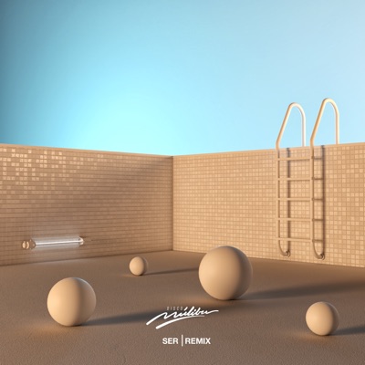 Ser (Remix) - Single