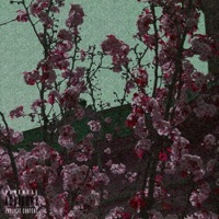 Changes (feat. Veshal & Unkle Zigs) - Single - K Coop