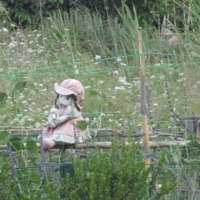 Kalimbabeat - Single - Ortigatomika