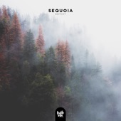 Sequoia artwork