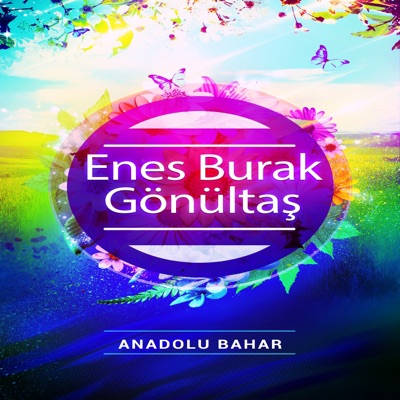 Enes Burak Gönültaş - Vay Kurban