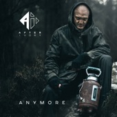 Anymore artwork