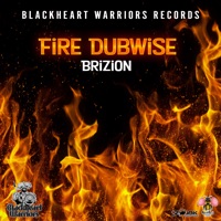 Fire Dubwise - Single - Brizion