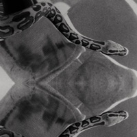 Where Am I From? - Single - Alastxrr