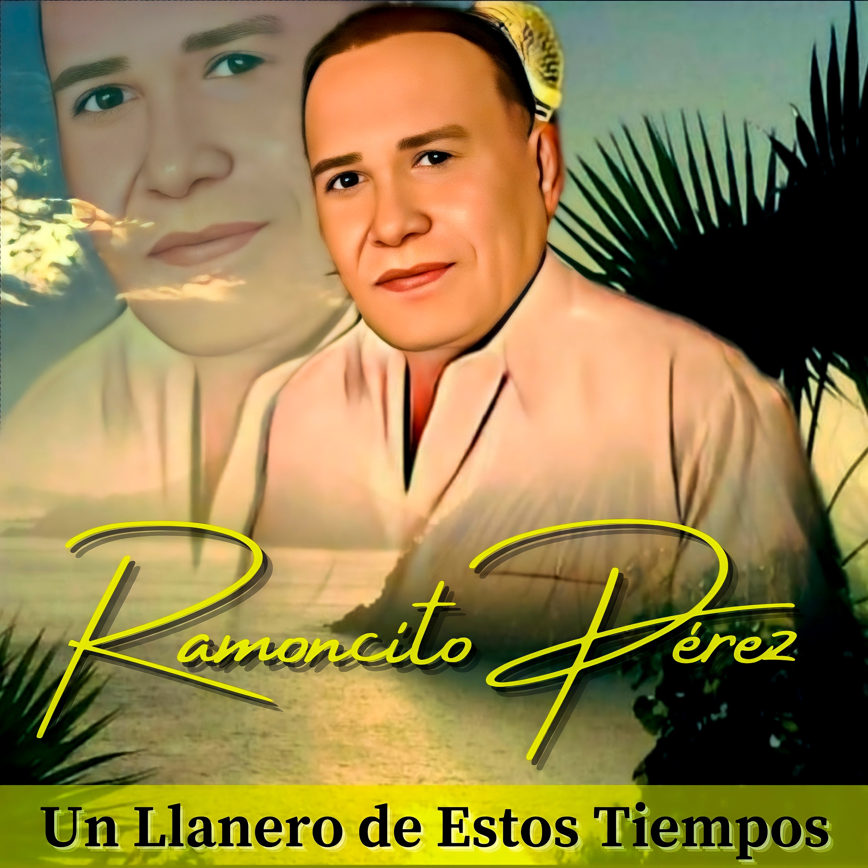 Un Llanero de Estos Tiempos