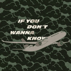 If You Don't Wanna Know - Single