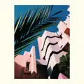 Neon Shoals