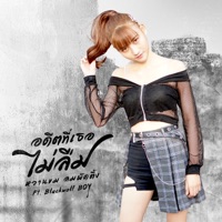 อดีตที่เธอไม่ลืม (feat. Blackwolf BOY) - Single - หวานขม ลมพัดตึ้ง
